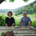 TRADITIONAL TECHNIQUES NURTURED BY THE EARTH AND PASSED ON BY PEOPLE