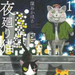 A Story of a Gentle Cat that Gently Snuggles up to a Weary Heart