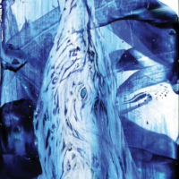 March 2025 Cover - Whale