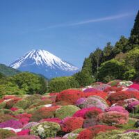 AdobeStock_83177857_Extend AdobeStock_83177857_Extend