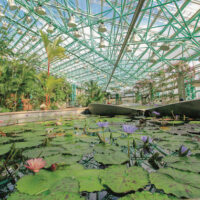 水生植物公園みずの森 水生植物公園みずの森