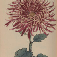 f3aed613f7f00445efa0adead1117b21