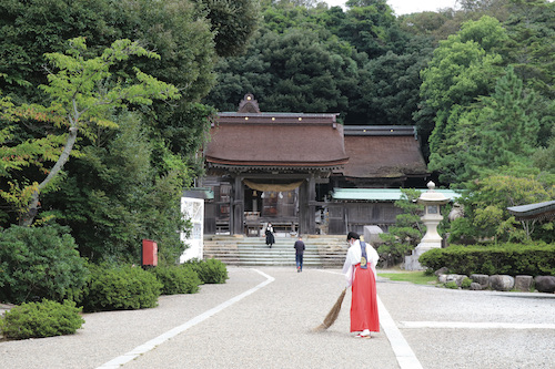 Japan Savvy