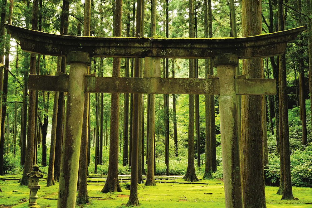 Matsuri remains
